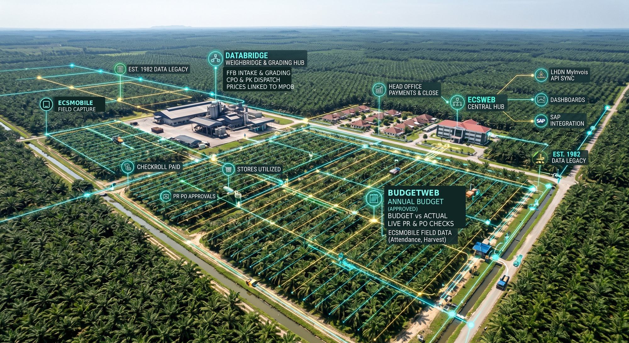 Aerial view of an oil palm estate, mill and head office linked by ECSWEB, BUDGETWEB and DATABRIDGE